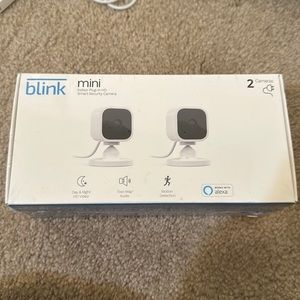 Blink Mini 2 Indoor Cameras